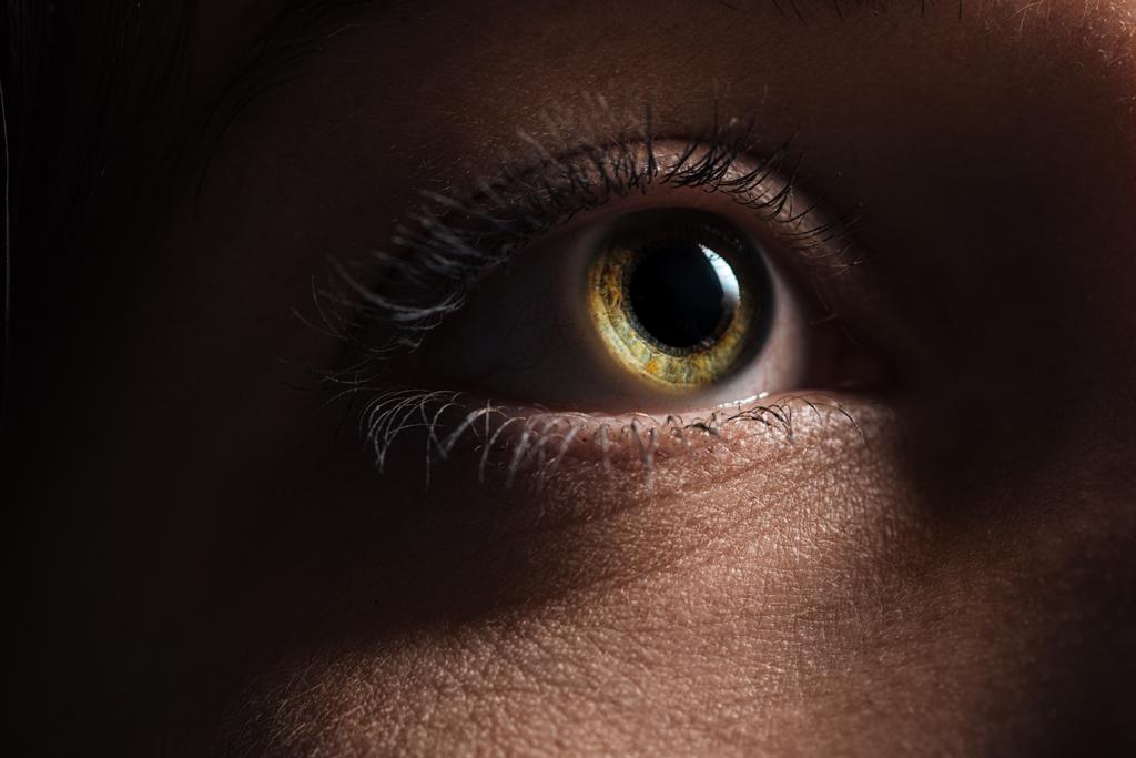 vue rapprochée de l "œil de femme adulte avec cils et sourcils détournés
 - Photo, image