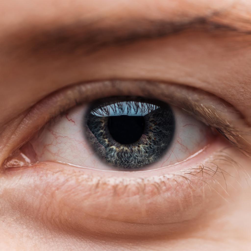 vista de cerca del ojo colorido azul humano con pestañas
 - Foto, Imagen