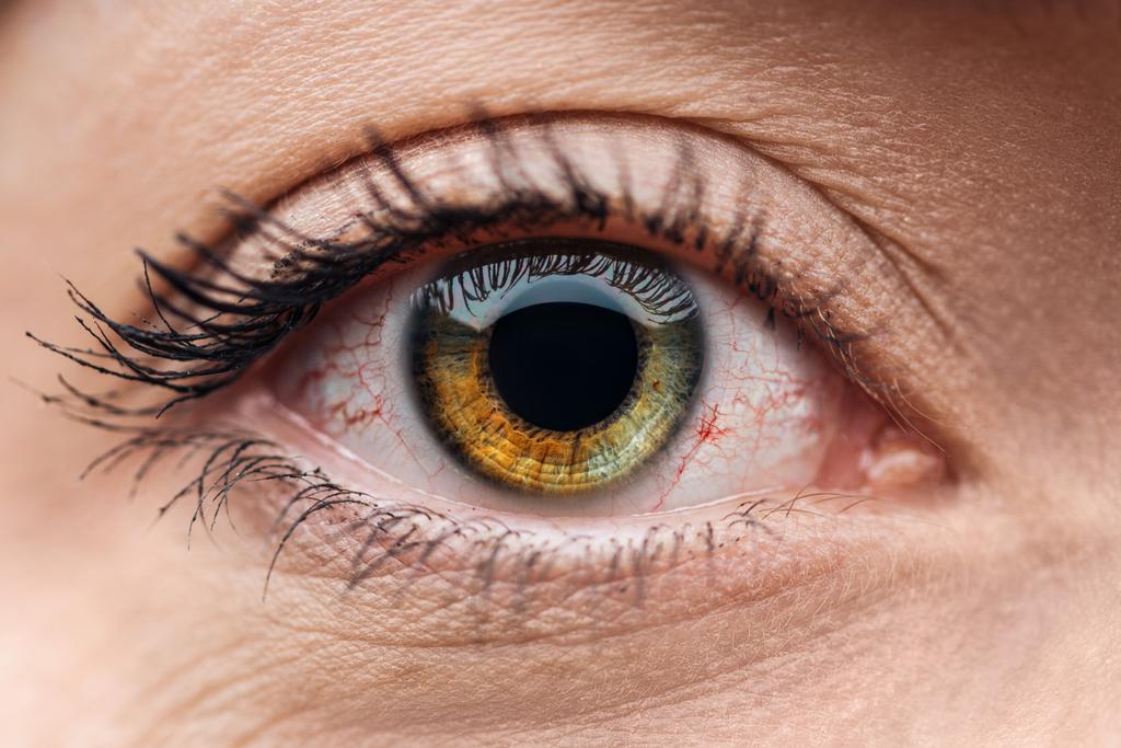 közelről kilátás az emberi barna és zöld színes szem szempillák - Fotó, kép