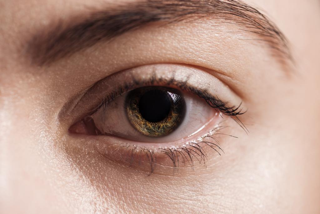 крупним планом вид на людське коричневе око, дивлячись на камеру
 - Фото, зображення