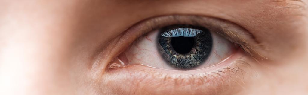 カメラを見て人間の透明な目のクローズアップビュー,パノラマショット - 写真・画像
