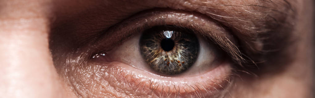 крупный план зрелого человеческого глаза, смотрящего на камеру, панорамный снимок
 - Фото, изображение