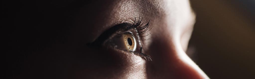 крупный план человеческого цветного глаза, глядящего вдаль в темноте, панорамный снимок
 - Фото, изображение