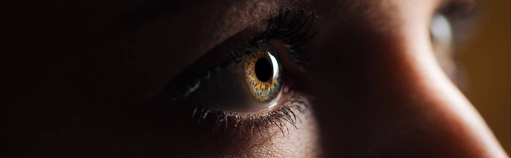 крупный план человеческого коричневого глаза, глядящего в сторону в темном, панорамном снимке
 - Фото, изображение