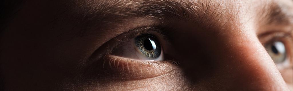 zblízka pohled na lidské šedé oči, které hledí do temného, panoramatického záběru - Fotografie, Obrázek
