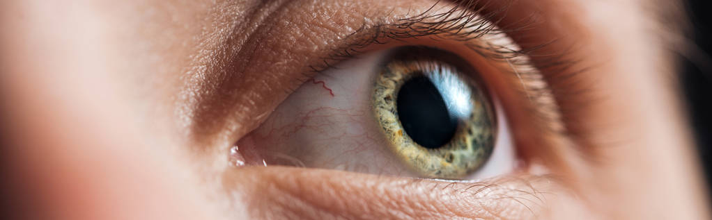 закрытый вид на зеленый человеческий глаз, панорамный снимок
 - Фото, изображение