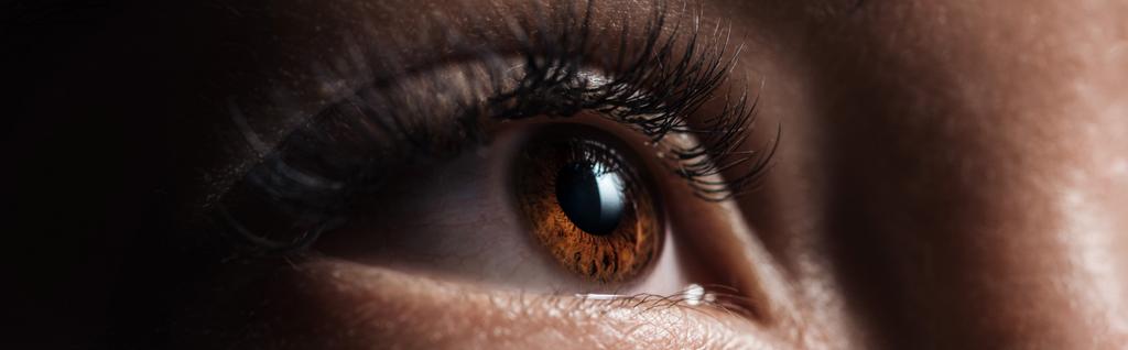 közelről kilátás az emberi barna szem hosszú szempillák látszó el a sötét, panoráma lövés - Fotó, kép