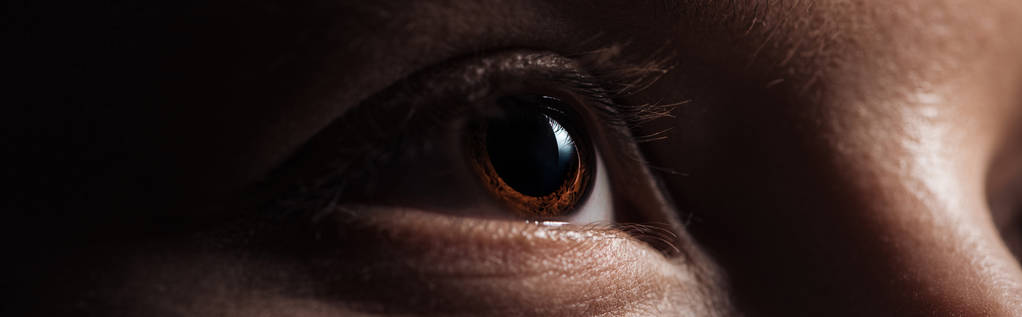 close up view of human brown eye looking away in dark, panoramic shot - Photo, Image
