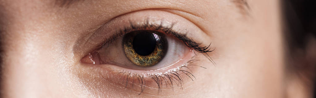 крупним планом людське око дивиться на камеру, панорамний знімок
 - Фото, зображення