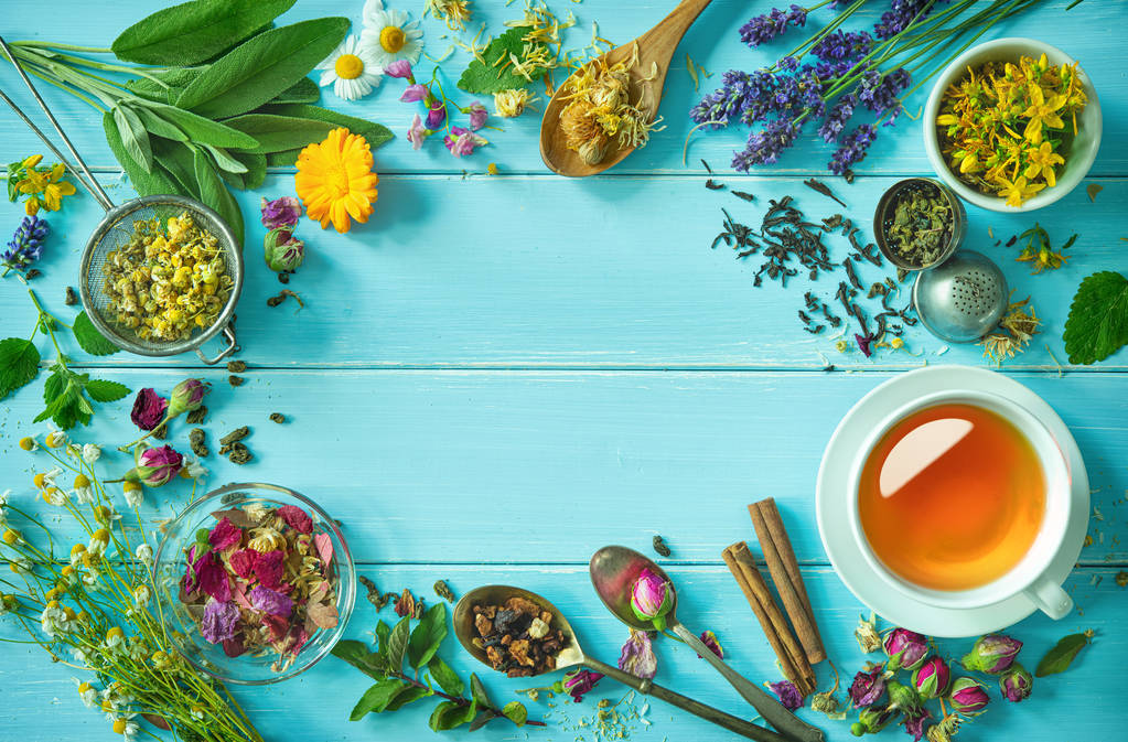 Filiżanka zdrowej herbaty ziołowej - Zdjęcie, obraz