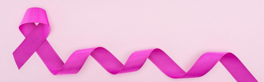 panoramic shot of long purple ribbon isolated on light pink  - Photo, Image
