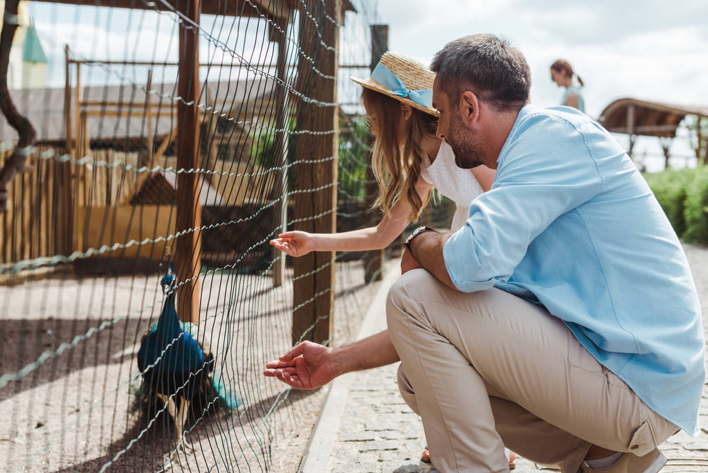 padre e hija haciendo gestos cerca de la jaula con pavo real en el zoológico
  - Foto, Imagen