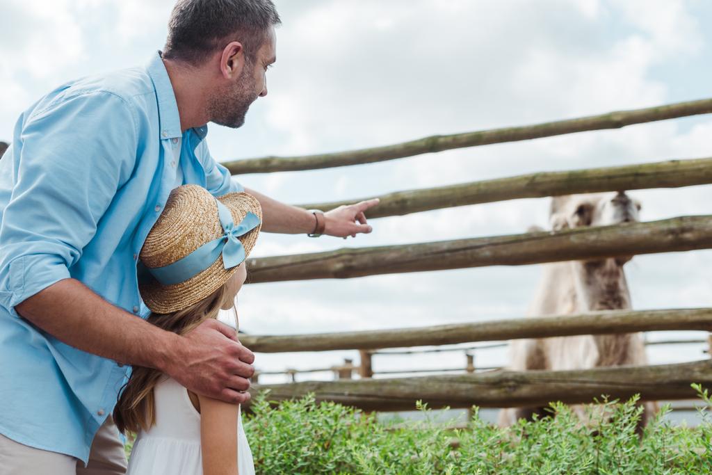 padre guapo señalando con el dedo al camello cerca de la hija en sombrero de paja
   - Foto, imagen
