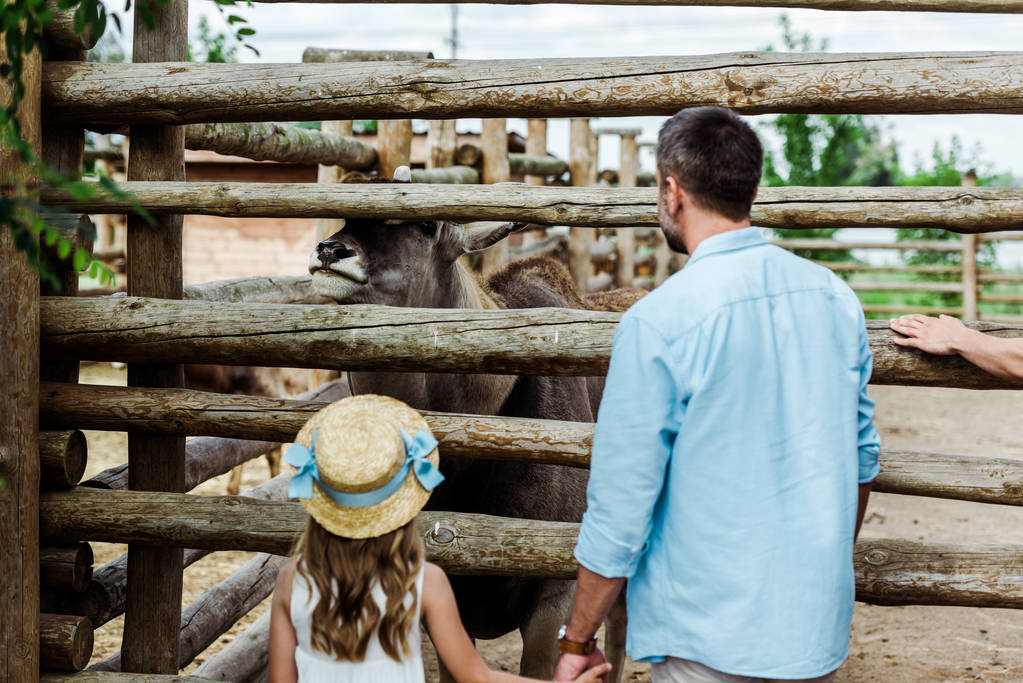 Widok z tyłu ojca i dziecka w słomy kapelusz stojący w pobliżu ogrodzenia z Bizona w zoo  - Zdjęcie, obraz
