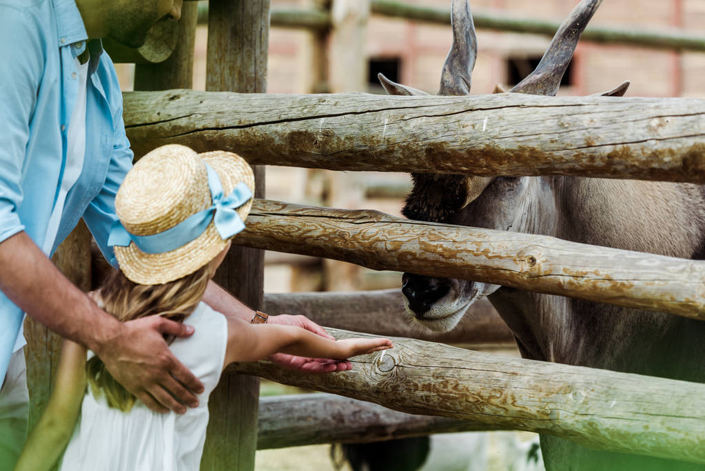 vista ritagliata di padre in piedi con bambino in cappello di paglia gesticolando vicino bisonte nello zoo
  - Foto, immagini