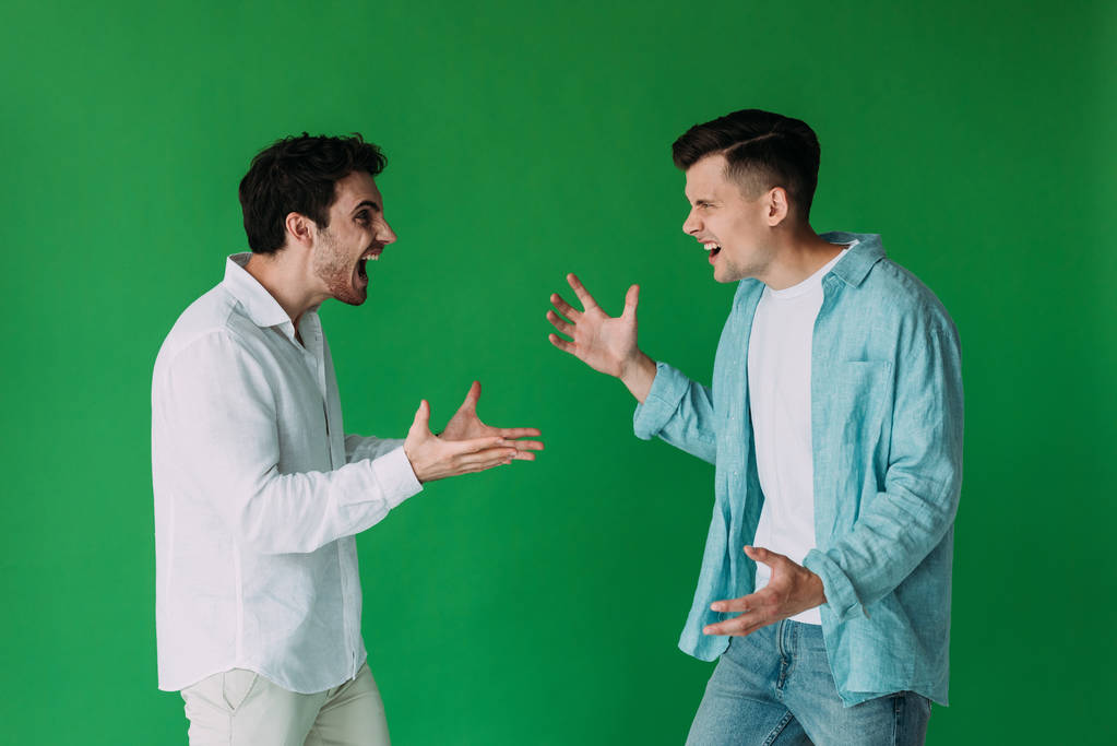 due uomini in camicia litigano e urlano l'uno contro l'altro isolati sul verde
 - Foto, immagini