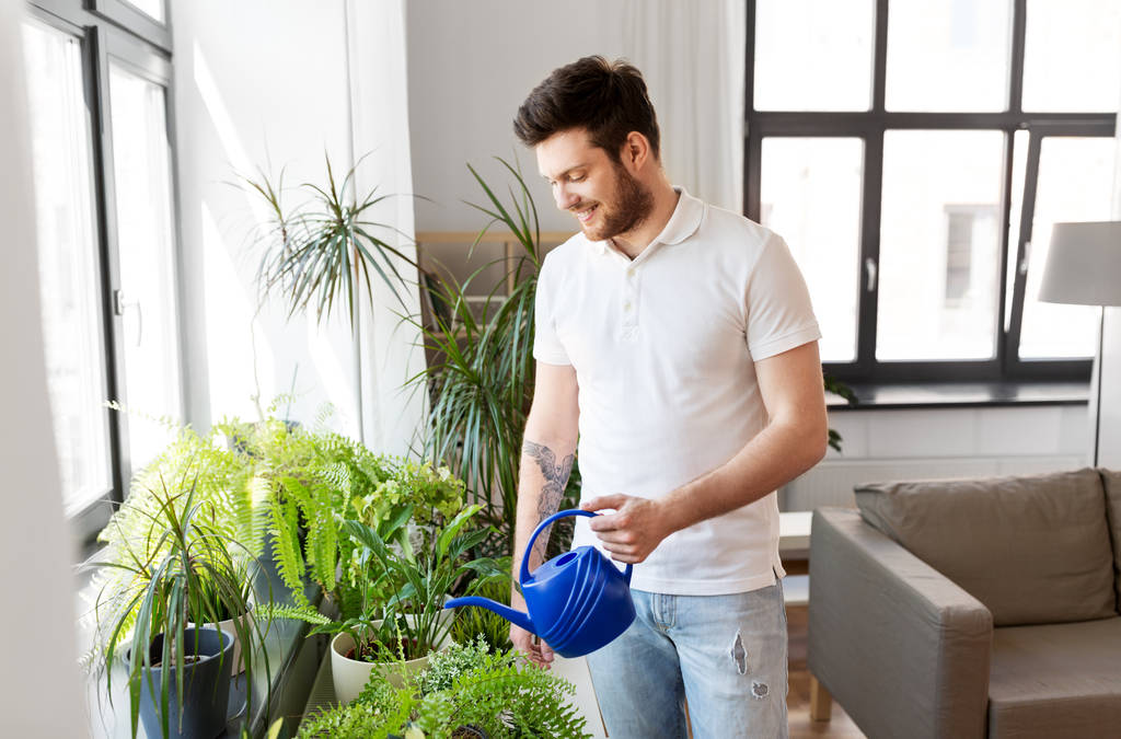 чоловік поливає домашні рослини вдома
 - Фото, зображення