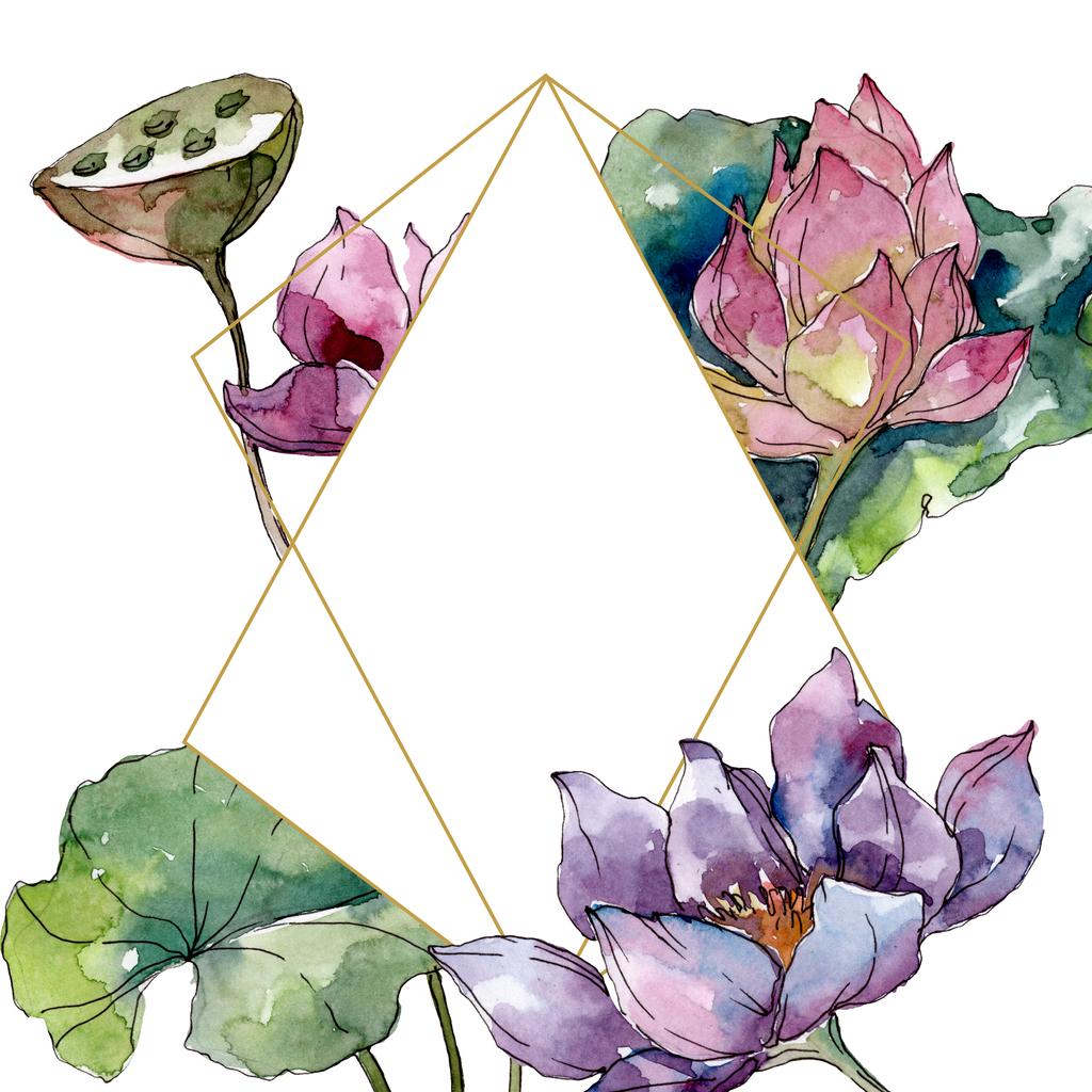 蓮の花の植物の花 野生の春の葉の野生の花が孤立しました 水彩背景イラストセット 水彩画ファッションアクアレル孤立 フレームボーダークリスタルオーナメント正方形 ロイヤリティフリー写真 画像素材