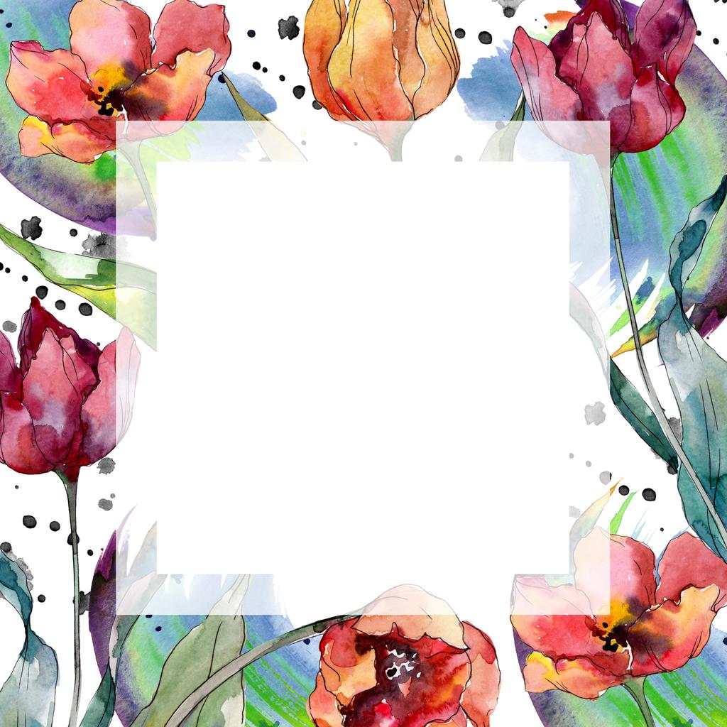 Red tulip floral botanical flower. Wild spring leaf wildflower isolated. Watercolor background illustration set. Watercolour drawing fashion aquarelle isolated. Frame border ornament square. - Photo, Image