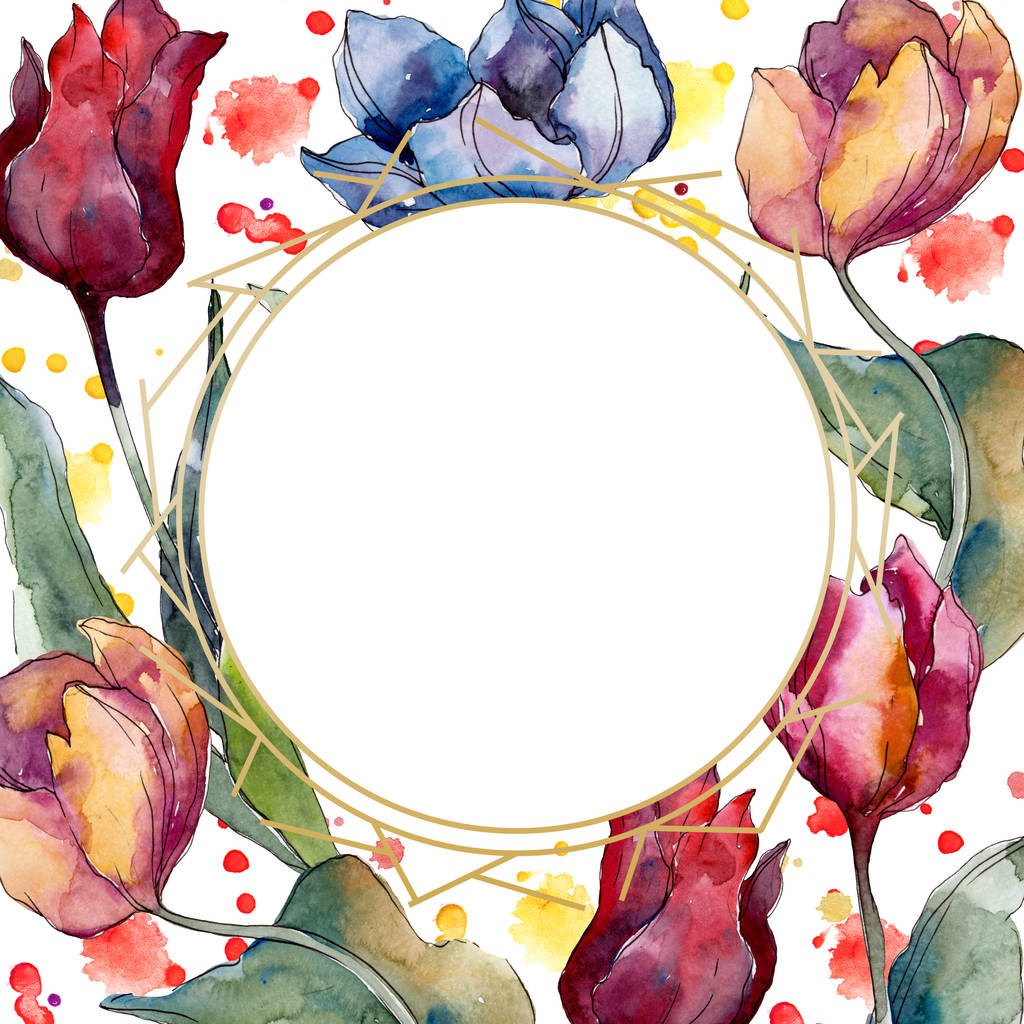 Tulipán květinové botanické květy. Divoké květinové listí. Vodný obrázek pozadí-barevný. Akvarel na kreslicím módu Aquarelle. Obdélníkovský čtverec na okraji rámu. - Fotografie, Obrázek