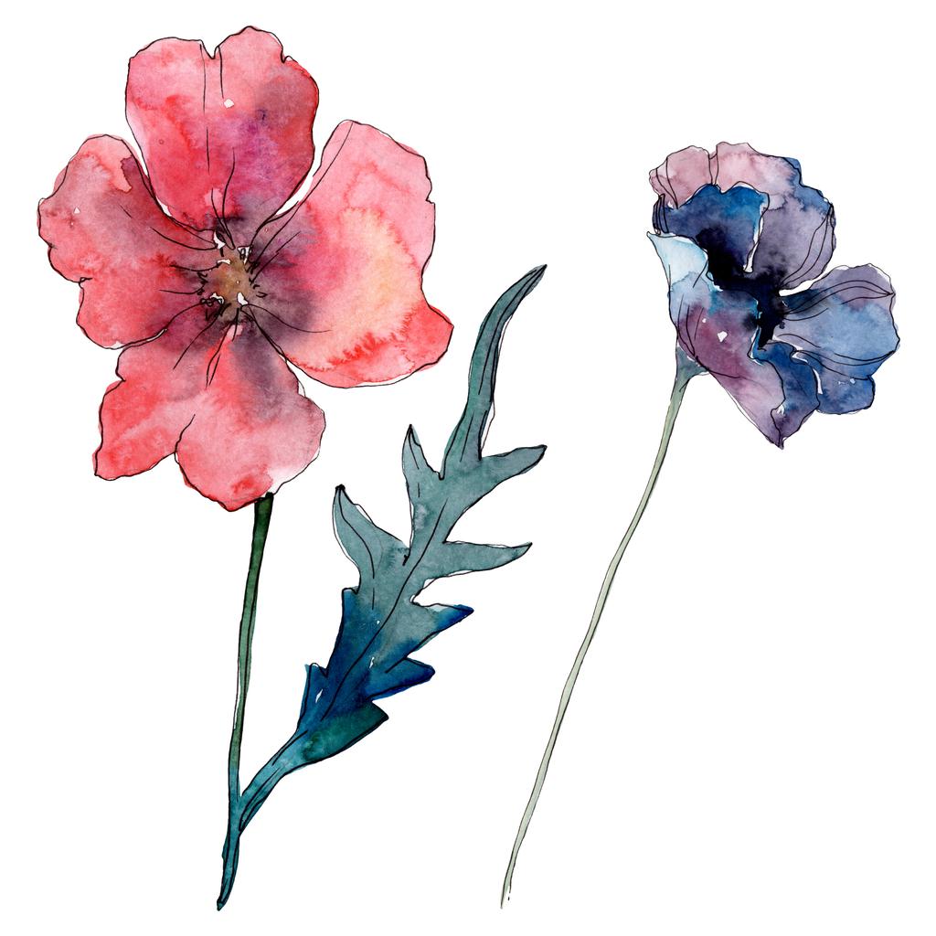 Poppy virágos botanikus virág. Vad tavaszi levél vadvirág. Akvarell háttér illusztráció meg. Akvarell rajz divat Aquarelle. Az elszigetelt Pipacsok illusztrációs elem. - Fotó, kép