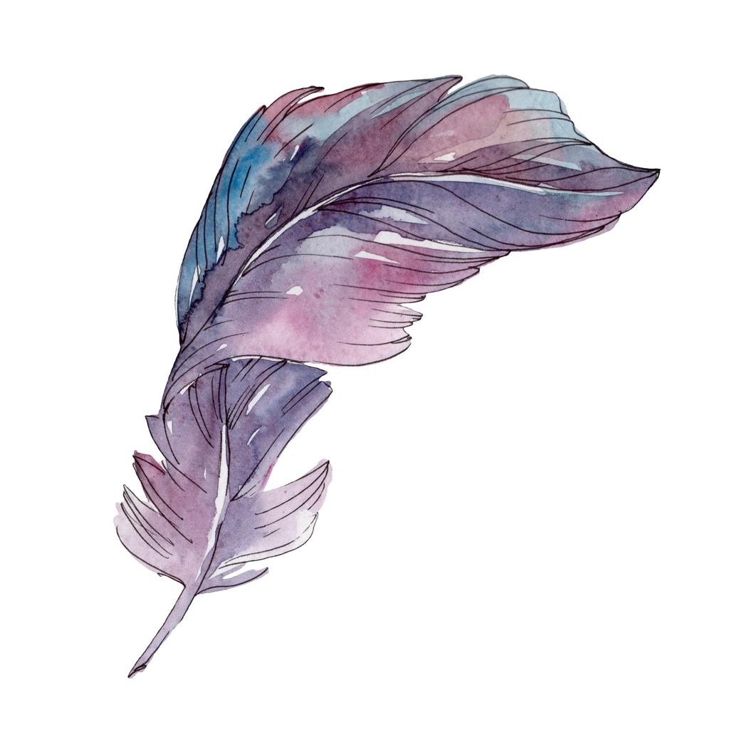 Красочное птичье перо из изолированного крыла. Акварельный набор фона. Изолированные перья
. - Фото, изображение