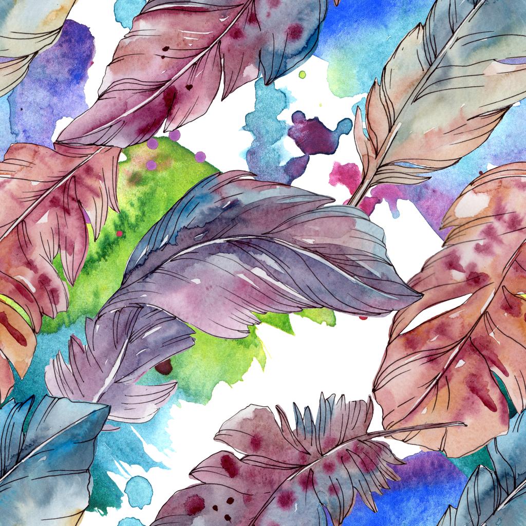 Pluma colorida de pájaro de ala aislada. Conjunto de ilustración de fondo acuarela. Patrón de fondo sin costuras
. - Foto, imagen