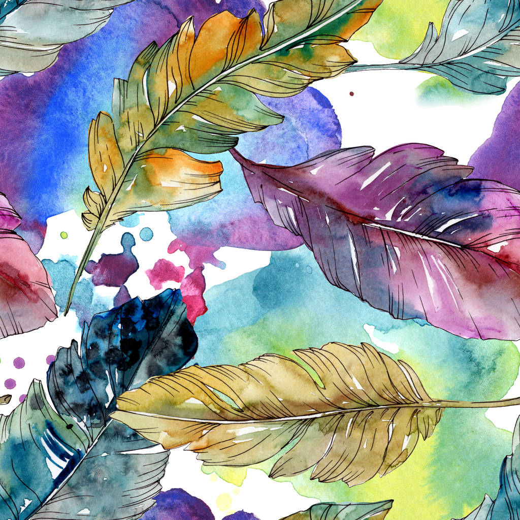 Plume d'oiseau colorée de l'aile isolée. Ensemble d'illustration de fond aquarelle. Modèle de fond sans couture
. - Photo, image