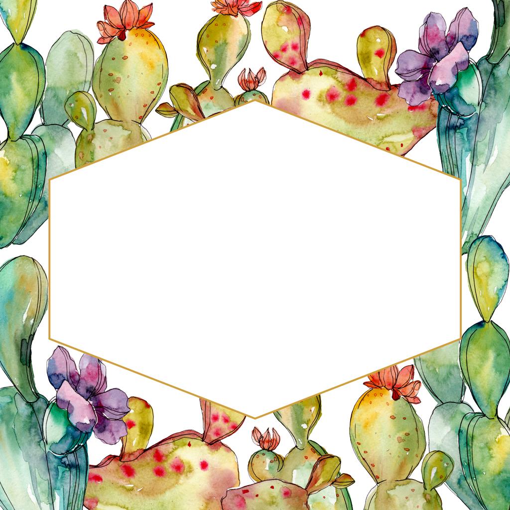 Green cactus floral botanical flowers. Watercolor background illustration set. Frame border ornament square. - Photo, Image