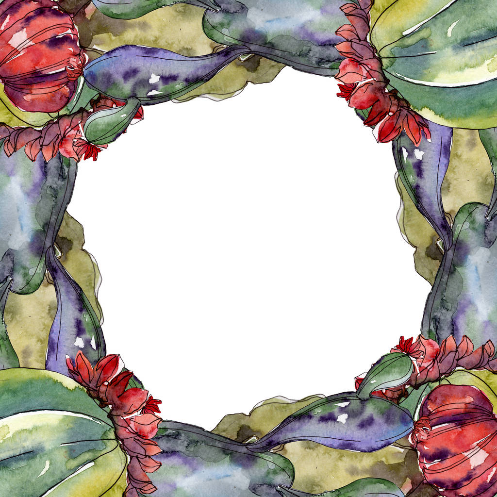 Cactus flores botânicas florais. Folha selvagem primavera wildflower isolado. Conjunto de ilustração de fundo aquarela. Aquarelle desenho aquarelle moda isolado. Quadro borda ornamento quadrado
. - Foto, Imagem