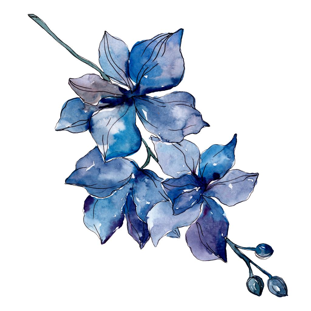 Kék orchidea virágos botanikus virágok. Vad tavaszi levél vadvirág elszigetelt. Akvarell háttér illusztráció meg. Akvarell rajz divat Aquarelle. Izolált orchideák illusztrációs elem. - Fotó, kép