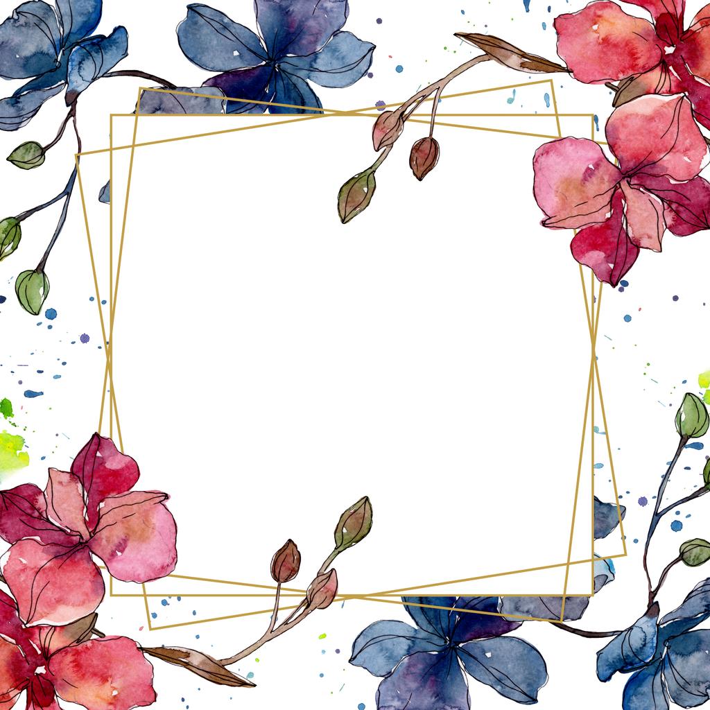 蘭の花の植物の花。●水彩背景イラストセット。フレームボーダーオーナメント正方形. - 写真・画像