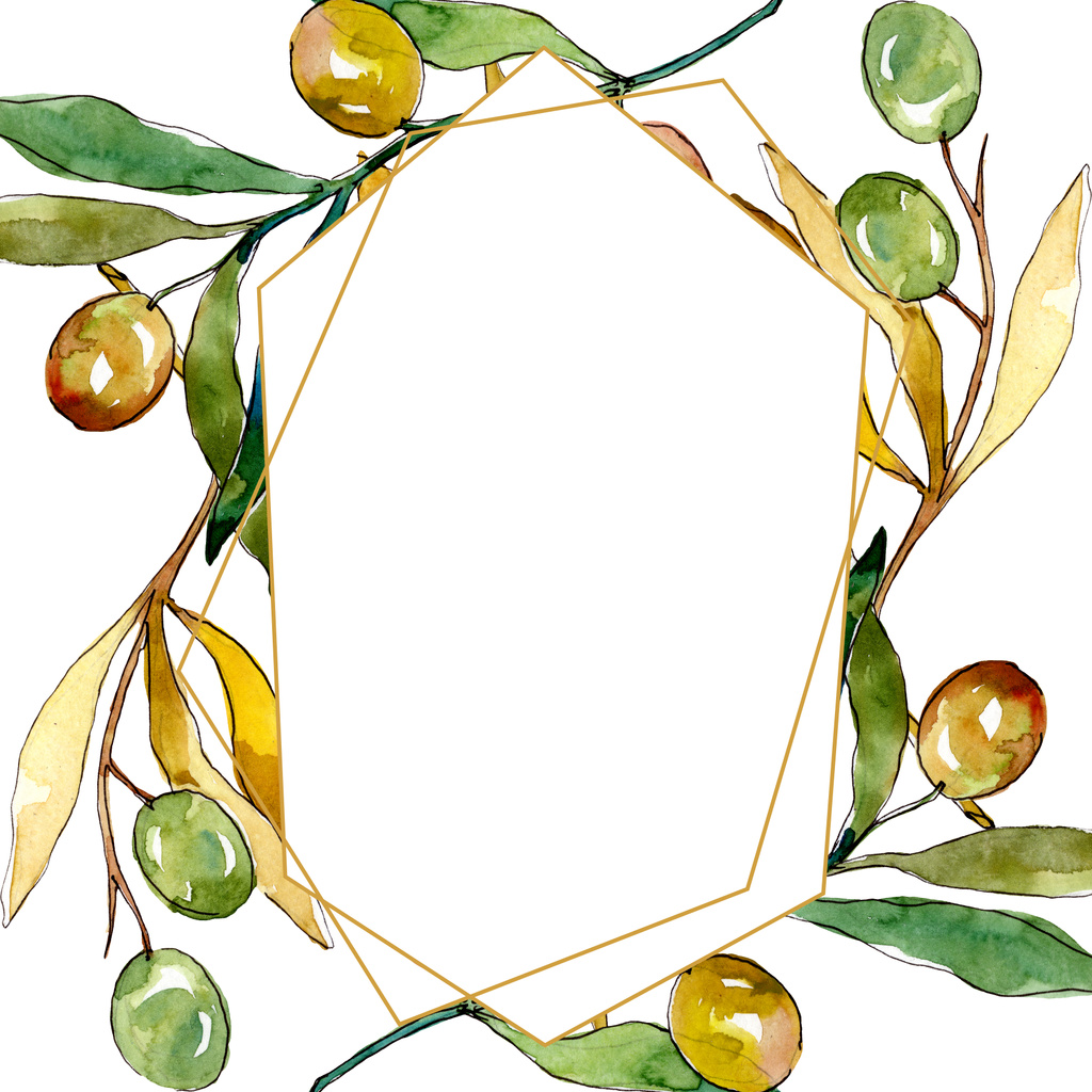 Olive branch with black and green fruit. Watercolor background illustration set. Frame border ornament square. - Photo, Image