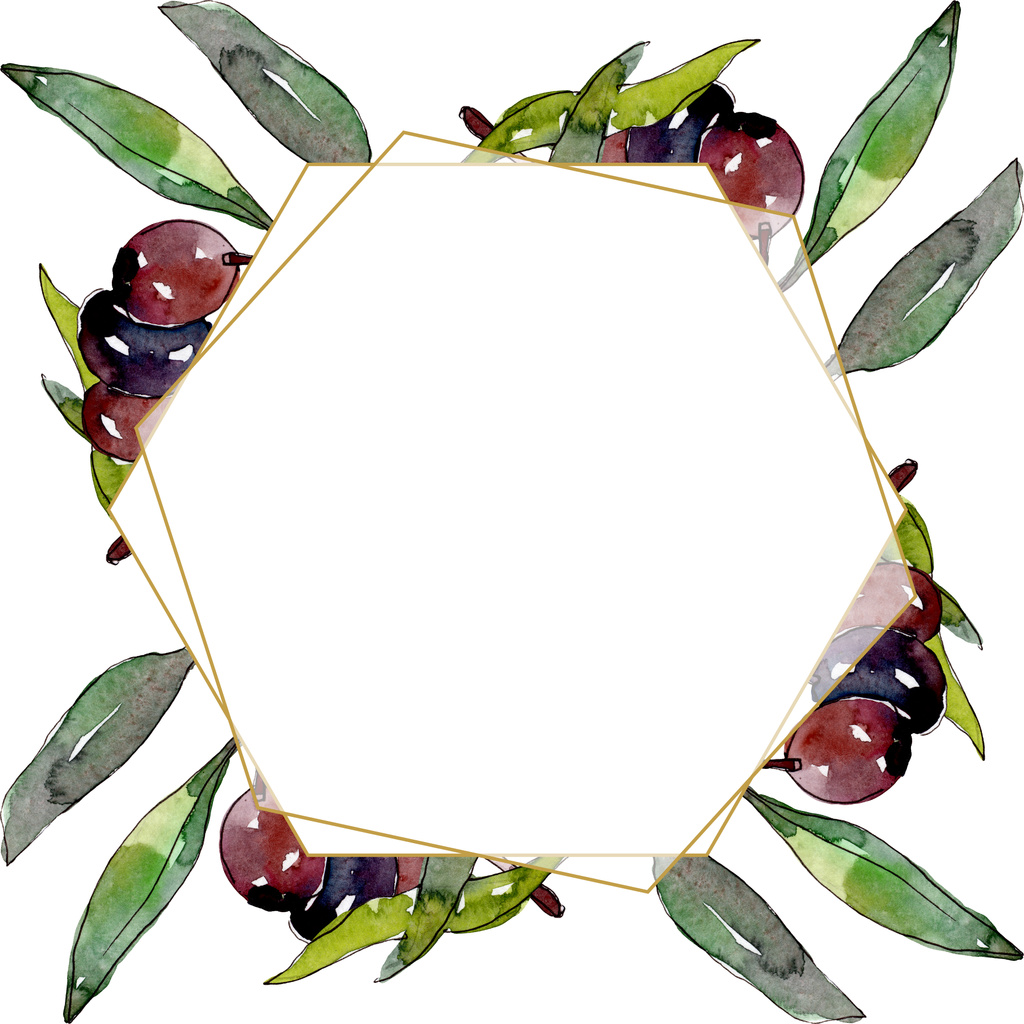 Olivenzweig mit schwarzen und grünen Früchten. Aquarell Hintergrundillustration Set. Rahmen Rand Ornament Quadrat. - Foto, Bild