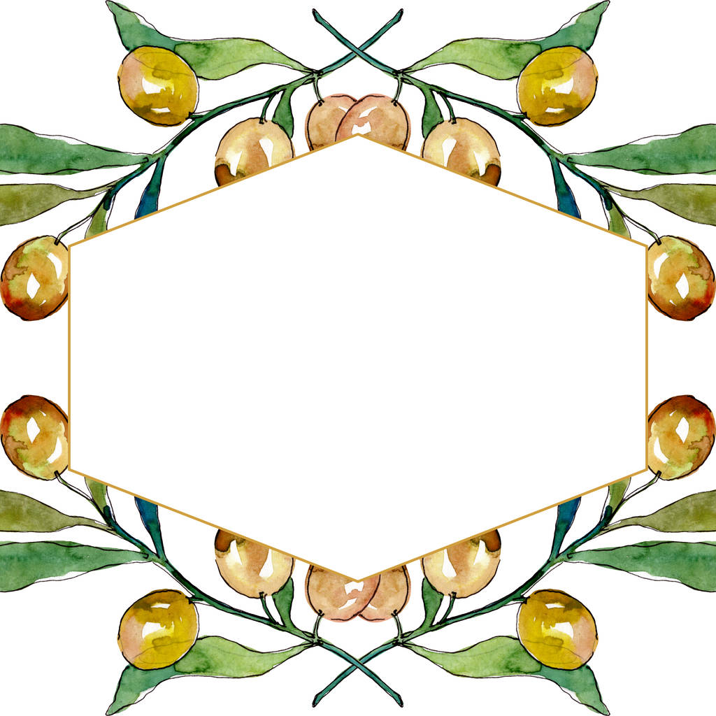 Rama de olivo con fruta negra y verde. Conjunto de ilustración de fondo acuarela. Marco borde ornamento cuadrado
. - Foto, imagen