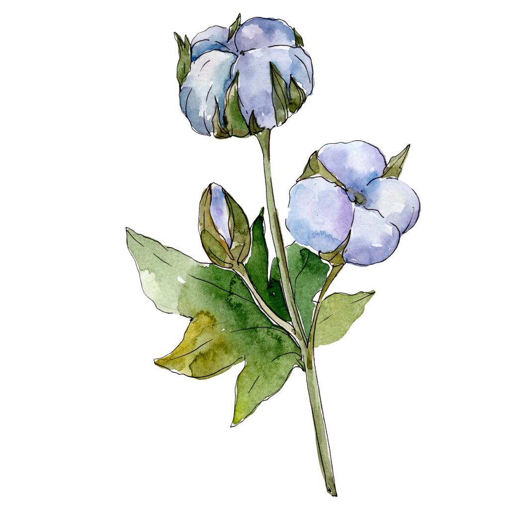 白い綿の花の植物の花 水彩背景イラストセット 絶縁コットンイラスト要素 ロイヤリティフリー写真 画像素材