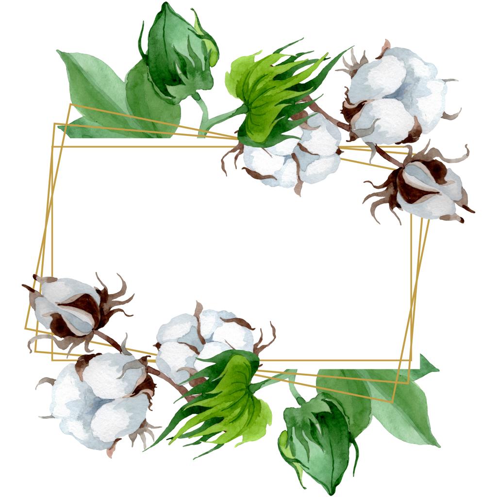Λευκό βαμβακερό λουλουδάτο βοτανικό λουλούδι. Άγριο λουλούδι φύλλων ελατηρίου. Σύνολο εικονογράφησης φόντου. Ακουαρέλεςζωγραφική μόδας. Πλαίσιο περιγράμματος κρυστάλλινο στολίδι τετράγωνο. - Φωτογραφία, εικόνα