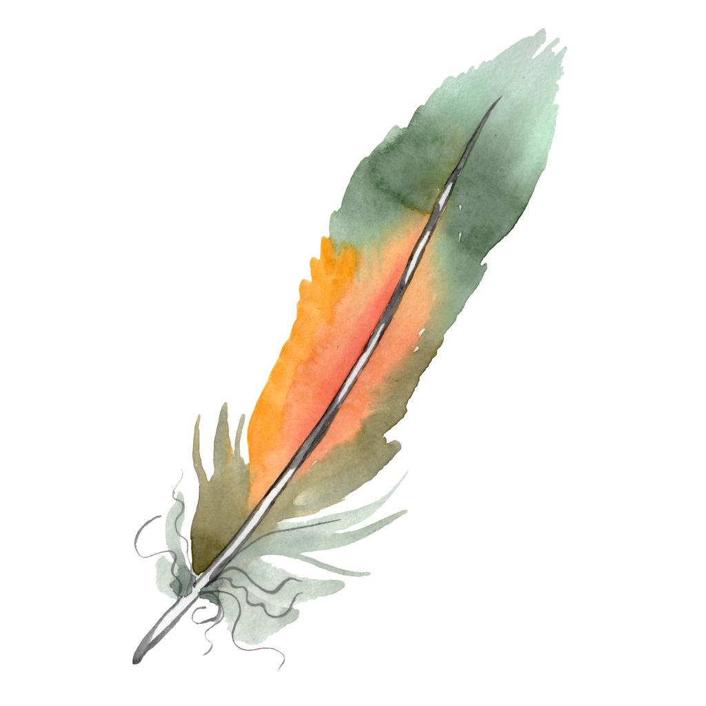 Pluma colorida de pájaro de ala aislada. Conjunto de ilustración de fondo acuarela. Elemento de ilustración de plumas aisladas
. - Foto, imagen