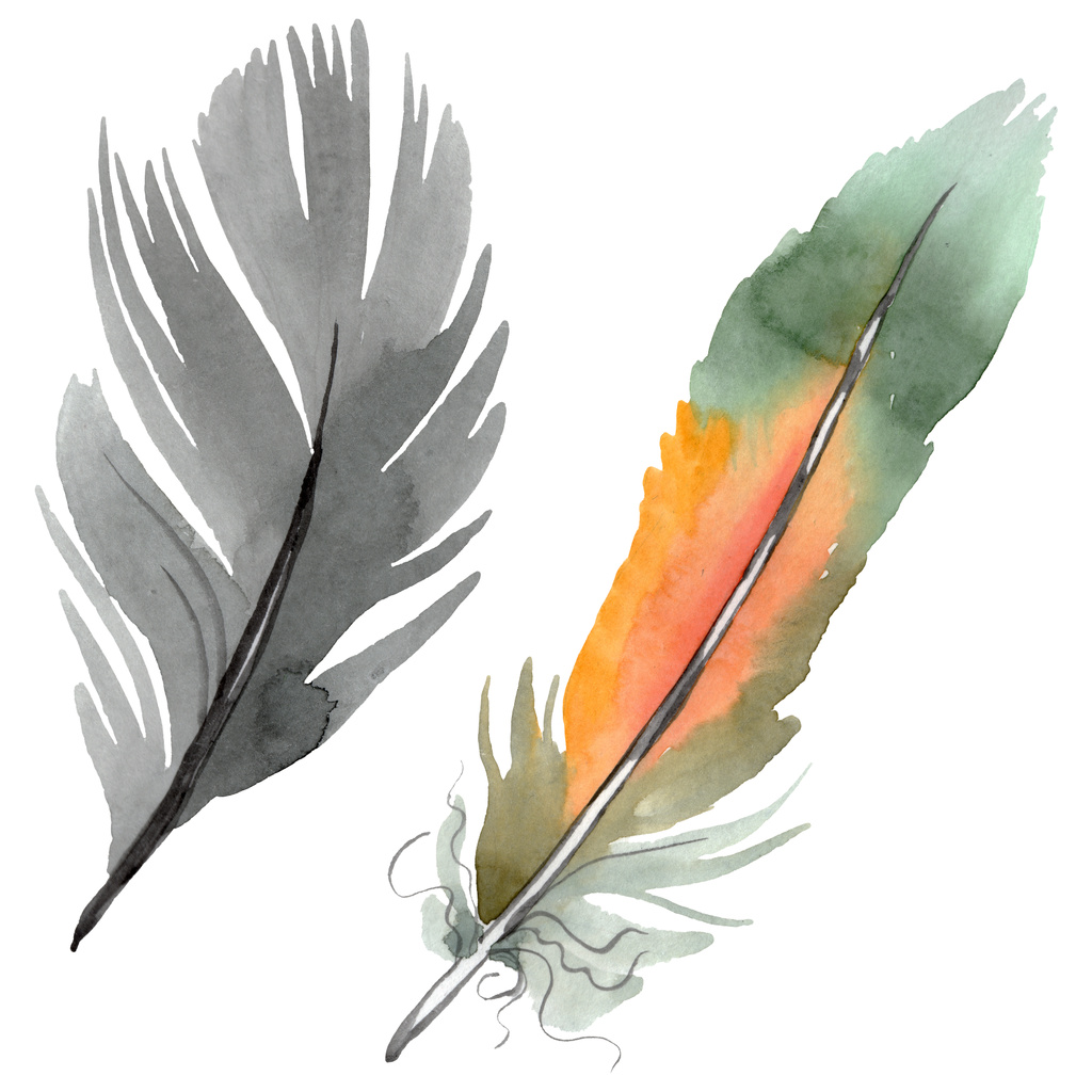 Kleurrijke vogel veren van vleugel geïsoleerd. Aquarel achtergrond illustratie instellen. Geïsoleerd Feather illustratie element. - Foto, afbeelding