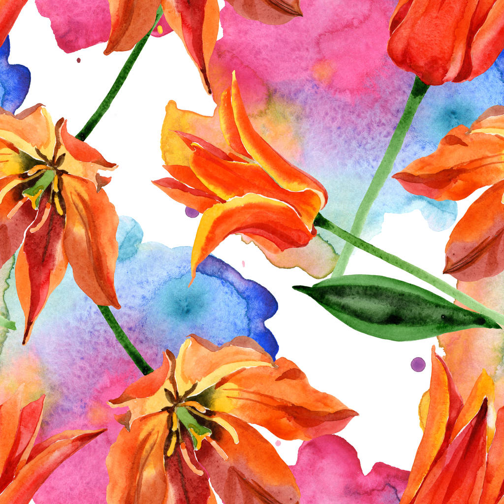 Tulipan pomarańczowy kwiatowy kwiatów botanicznych. Akwarela zestaw ilustracji tła. Płynny wzór tła. - Zdjęcie, obraz