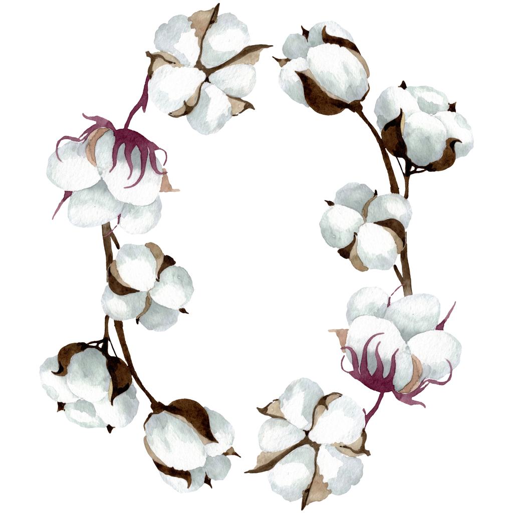 Flores botánicas florales de algodón blanco. Conjunto de ilustración de fondo acuarela. Marco borde ornamento cuadrado
. - Foto, Imagen