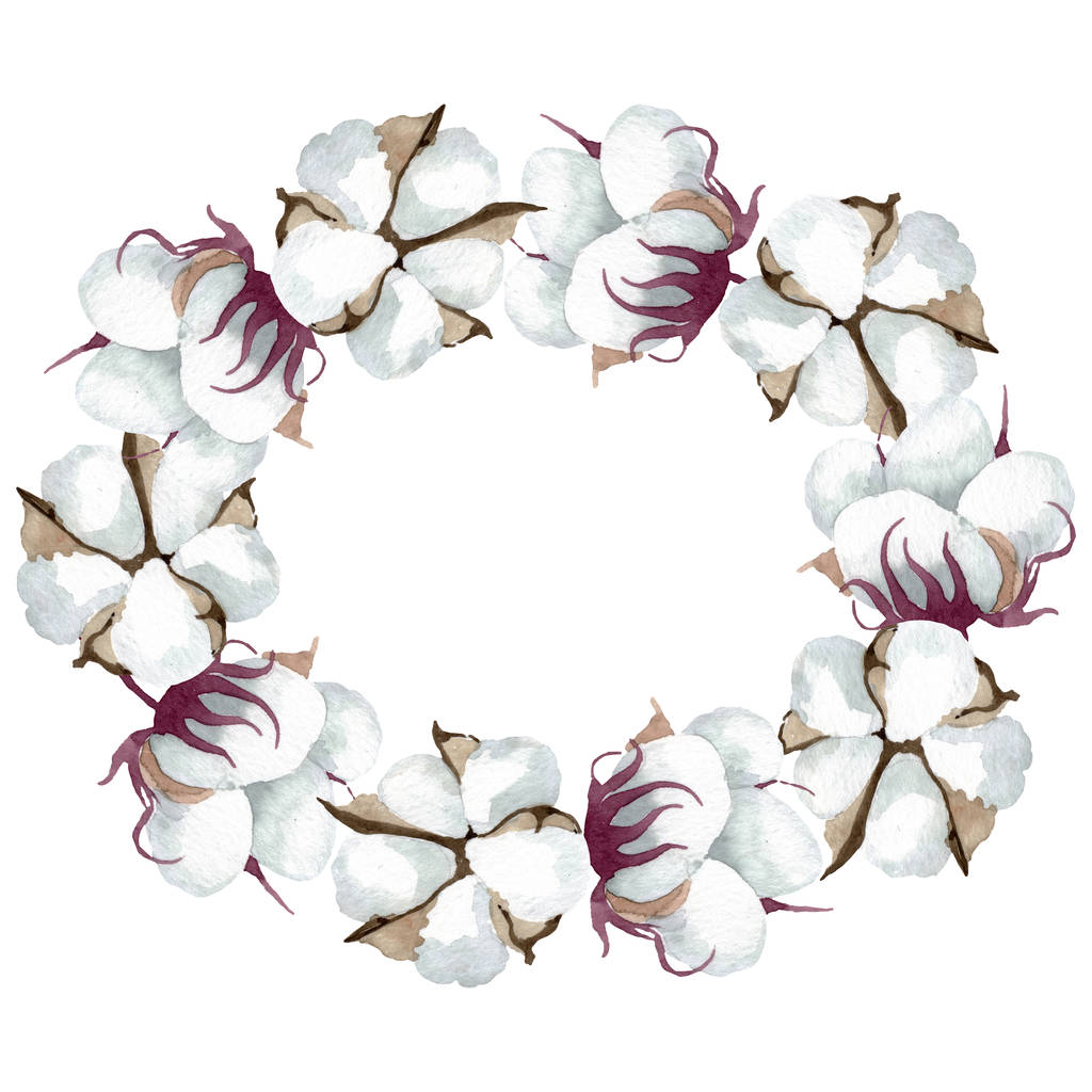 白い綿の花の植物の花。●水彩背景イラストセット。フレームボーダーオーナメント正方形. - 写真・画像