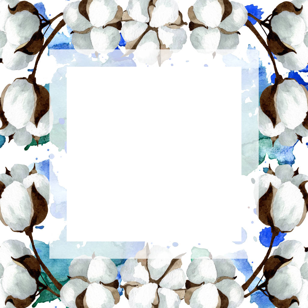 Flores botânicas florais de algodão branco. Conjunto de ilustração de fundo aquarela. Quadro borda ornamento quadrado
. - Foto, Imagem