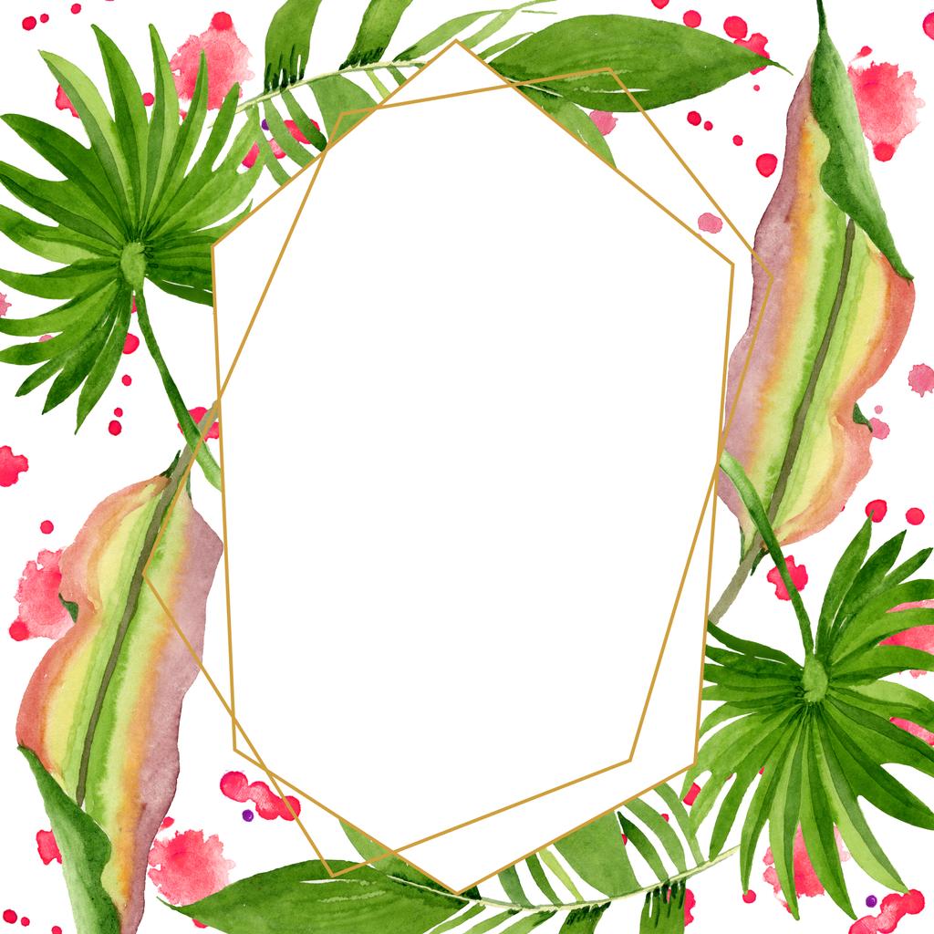 Palm plage arbre feuilles jungle botanique. Ensemble d'illustration de fond aquarelle. Cadre bordure ornement carré
. - Photo, image