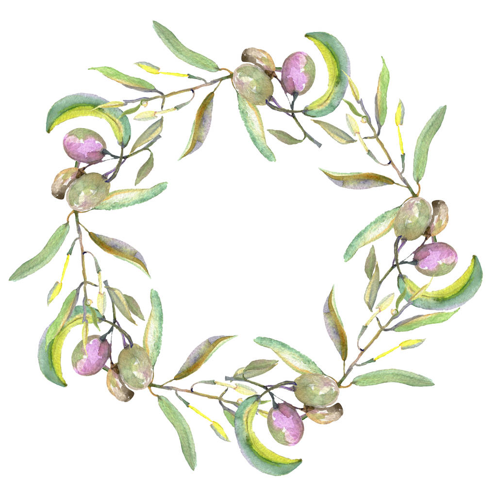 Branche d'olivier aux fruits noirs et verts. Ensemble d'illustration de fond aquarelle. Cadre bordure ornement carré
. - Photo, image