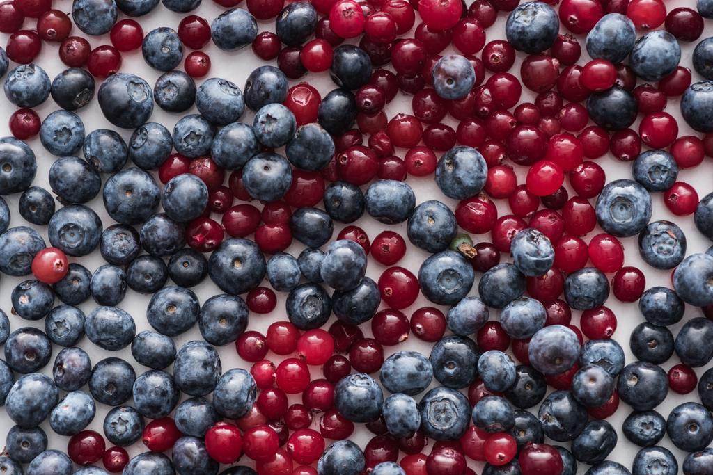 top view of red, fresh and ripe cranberries and whole blueberries  - Photo, Image