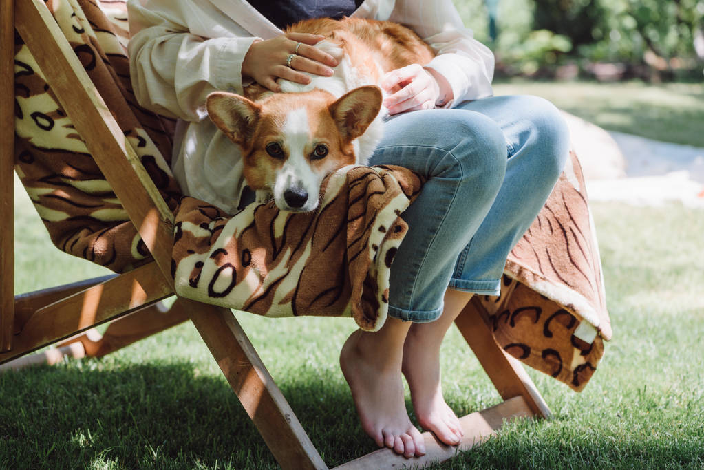 vista cortada de menina descalça segurando galês corgi cão de joelhos enquanto sentado em cadeira de convés no jardim
 - Foto, Imagem