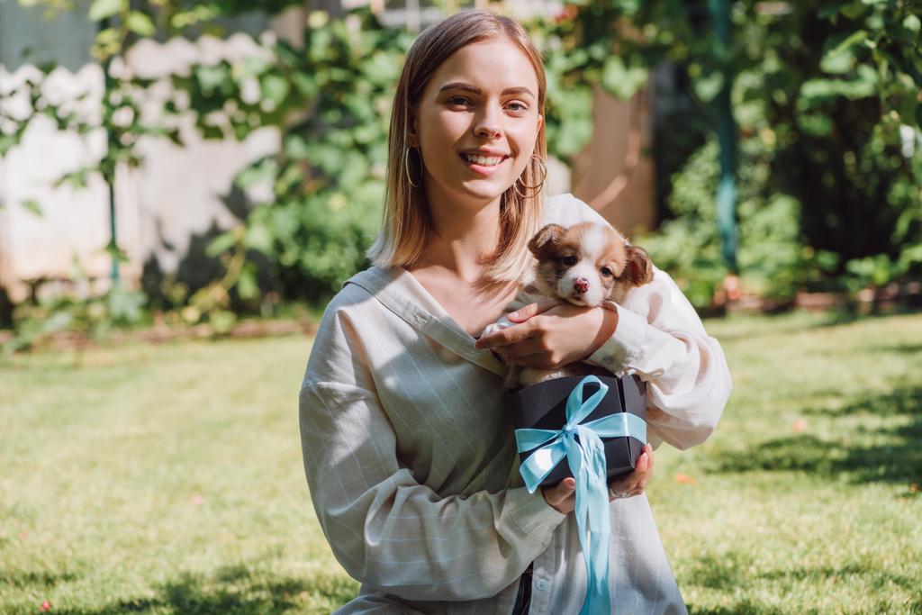felice ragazza bionda con cucciolo di corgi gallese in confezione regalo con nastro blu
 - Foto, immagini