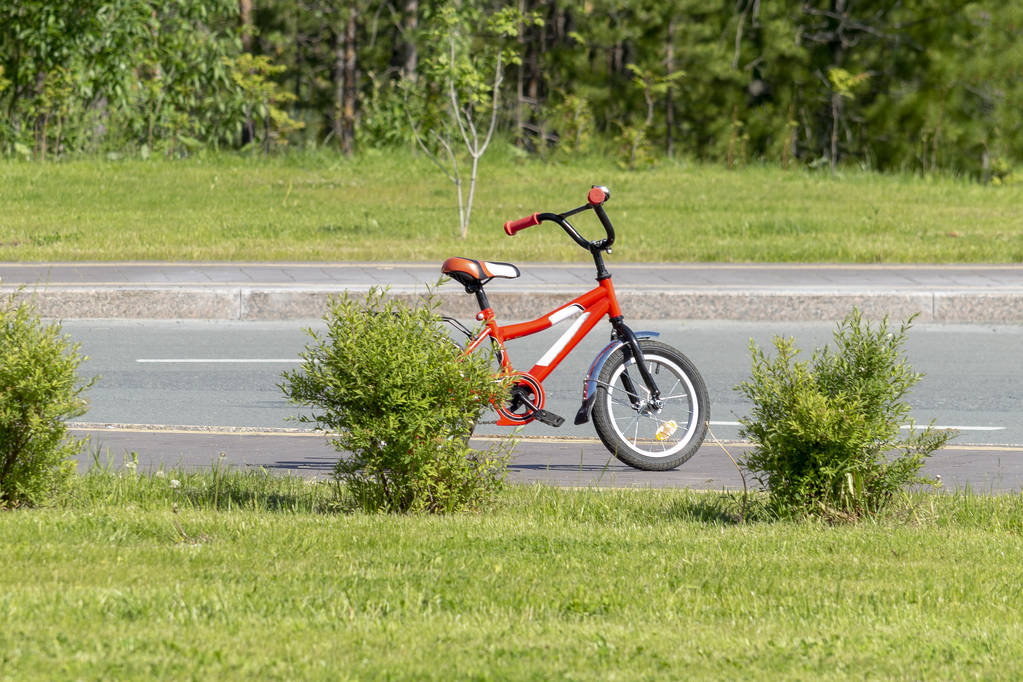 Red children's bike stands on the track in the park.  Side view. - Photo, Image