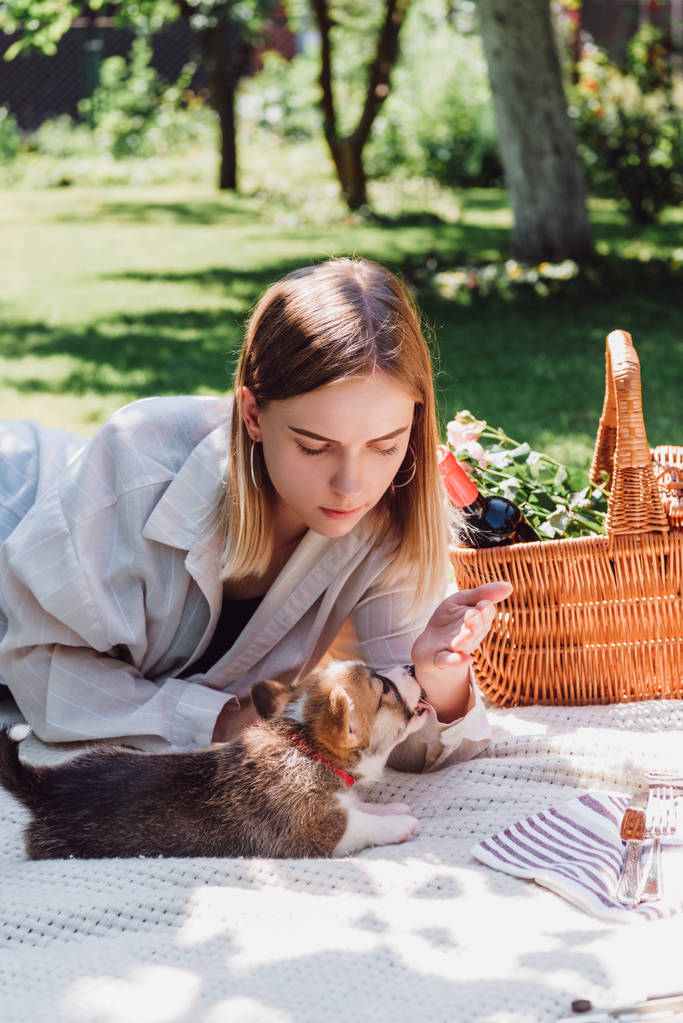 aranyos kiskutya szivárog a lány keze alatt piknik kertben - Fotó, kép